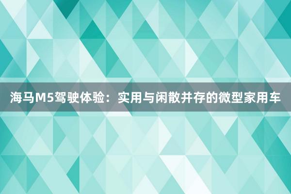 海马M5驾驶体验：实用与闲散并存的微型家用车